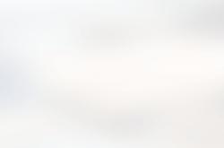 5年1.4亿美金！穆雷提前续约，布劳恩把(bǎ)话挑明，NBA抢断王太难了