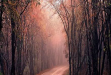 NBA宣布！你好，东契奇！解禁(jìn)大战东部第一强队