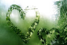 印第安納(nà)步行者队的战略转型：卡莱尔续约後(hòu)的教練(liàn)组调整