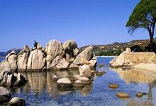 切特·霍姆格伦：雷霆新星的崛起与战术潜力分析